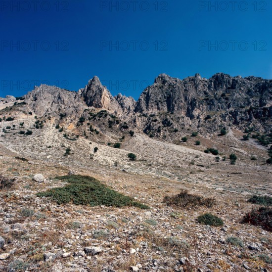 Nature, Italy, region of Sicilia 1975 Le Madonie (Tne Madonie).