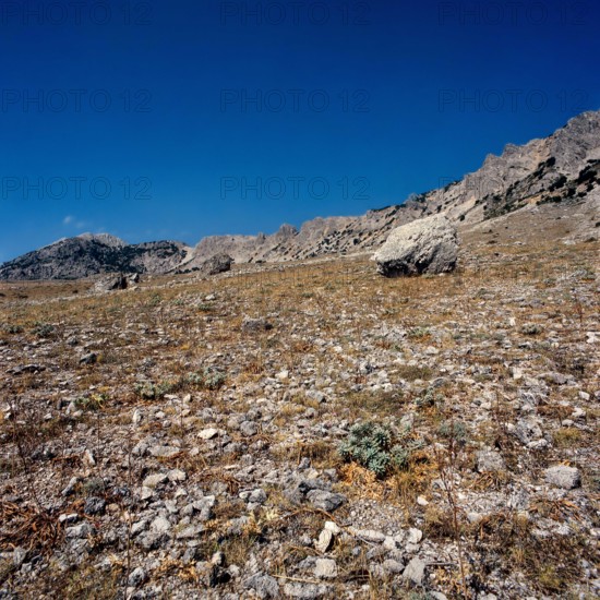 Nature, Italy, region of Sicilia 1975 Le Madonie (Tne Madonie).