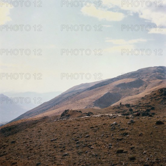 Nature, Italy, region of Sicilia 1975 Le Madonie (Tne Madonie).