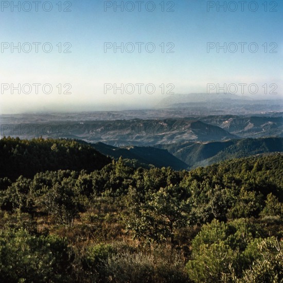 Nature, Italy, region of Sicilia 1975 Monti Peloritani (Peloritani Mountains).