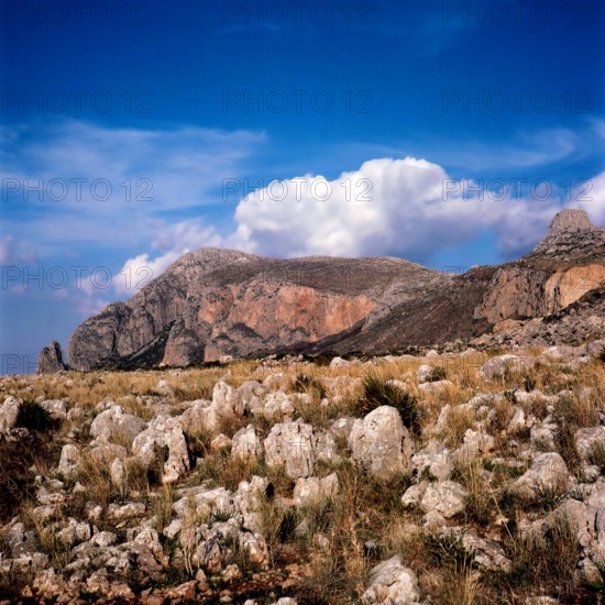 Nature, Italy, region of Sicilia 1975 Capo Sanvito (San Vito Cape).