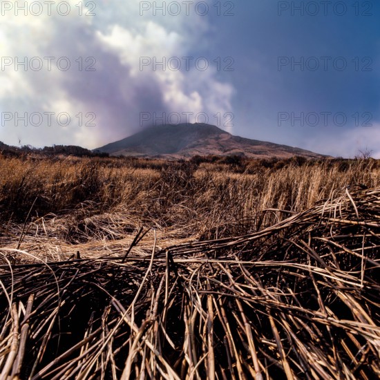 Nature, Italy, region of Sicilia 1975 Isole Eolie, Isola di Stromboli (Aeolian Islands, Stromboli  Island).