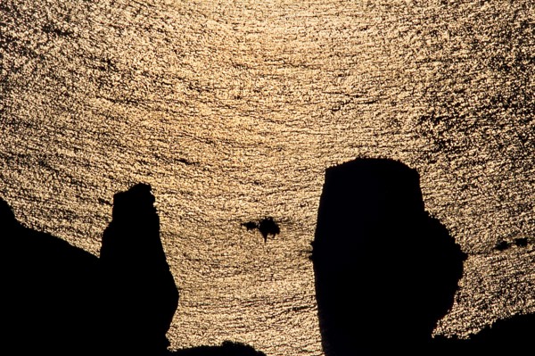Nature, Italy, region of Sicilia 1975 Isole Eolie, Lipari Quattrocchi  (Aeolian Islands, Lipari  Island, Quattrocchi).