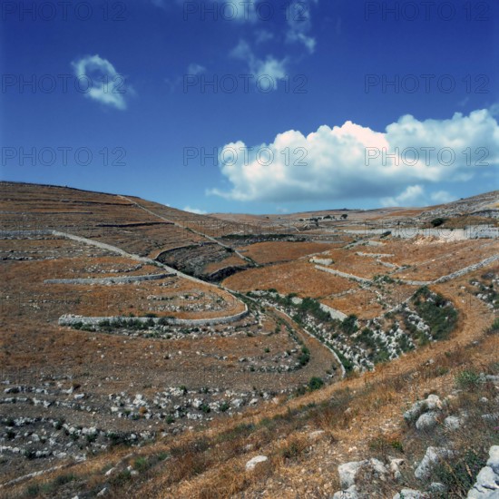 Nature, Italy, region of Sicilia 1975 Muri a secco nel Ragusano (Dry Stone walls in the Ragusano).