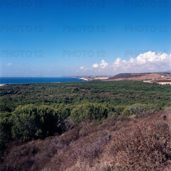 Nature, Italy, region of Sardegna 1975  Costa Occidentale Coruna Niedda - Is Arenas (West Coast Coruna Niedda - Is Arenas).