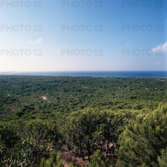 Nature, Italy, region of Sardegna 1975  Costa Occidentale Coruna Niedda - Is Arenas (West Coast Coruna Niedda - Is Arenas).