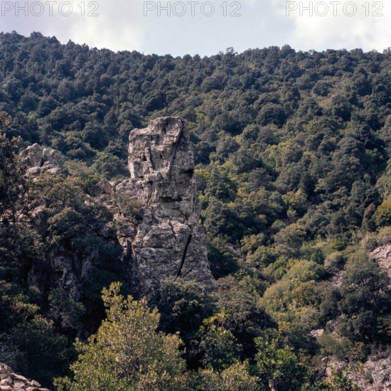 Nature, Italy, region of Sardegna 1975 Foresta dei Sette Fratelli (Seven Brothers Forest).