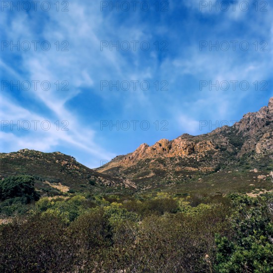 Nature, Italy, region of Sardegna 1975 Isola di San Pietro (San Pietro Island).