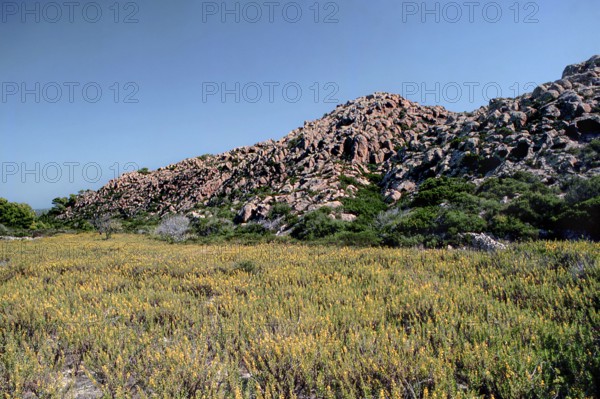 Nature, Italy, region of Sardegna 1975 Isola di San Pietro (San Pietro Island).
