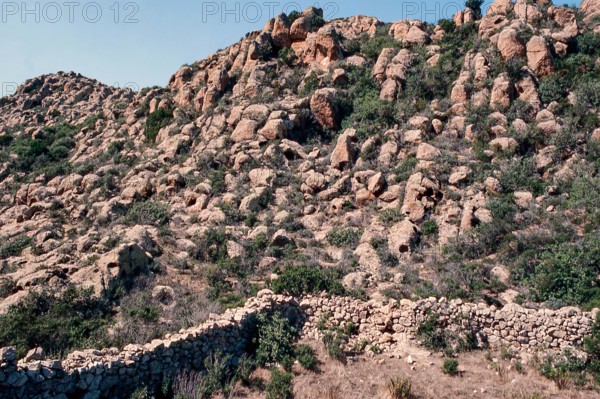 Nature, Italy, region of Sardegna 1975 Isola di San Pietro (San Pietro Island).