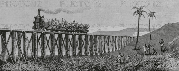 Mackay, Australia. Eastern coast of Queensland. Sugar cane production. Steam train for transporting sugar cane from the plantation to the factory. Engraving. La Ilustracion Espanola y Americana (The Spanish and American Illustration), 1883.