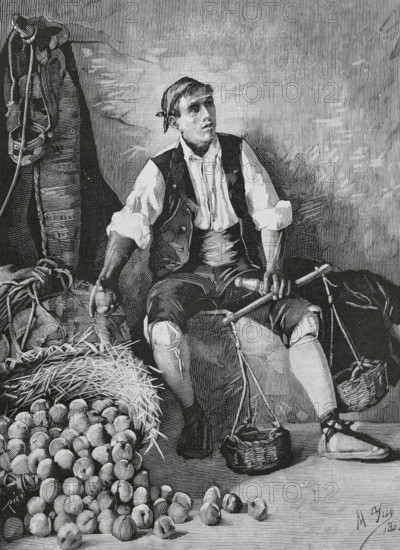 History of Spain, 19th century. Aragonese vendor of peaches. Engraving by Bernardo Rico (1825-1894) after a painting of 1883 by Manuel Yus y Colas (1846-1905). The Spanish and American Illustration (La Ilustracion Espanola y Americana), 1884.