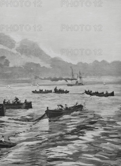 Spain. Sardine fishing off the Galician coast. Drawing by A. de Caula. Engraving by Arturo Carretero (1852-1903). Detail. The Spanish and American Illustration (La Ilustracion Espanola y Americana), 1884.