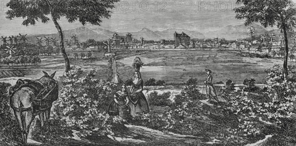 Manacor, Mallorca, Balearic Islands, Spain. View of the town with its typical windmills. Engraving by Traver. Cronica General de Espana, Historia Ilustrada y Descriptiva de sus Provincias (General Chronicle of Spain, Illustrated and Descriptive History of its Provinces), Balearics, 1871.