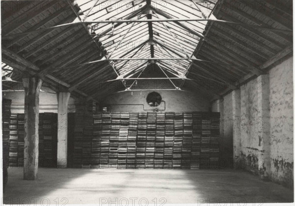 A room used for the presprouting phase of potatoes