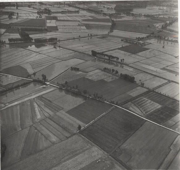 Paddy fields in Vercelli