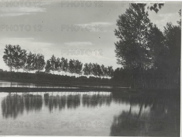 Flooded paddy field in Italy, Pavia
