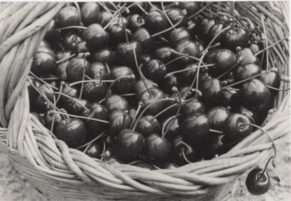 A basket of cherries