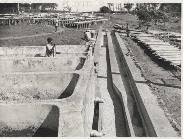 Fermentation tanks in Karatina, Kenya