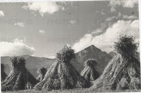 Hay bales in Sauze d'Oulx