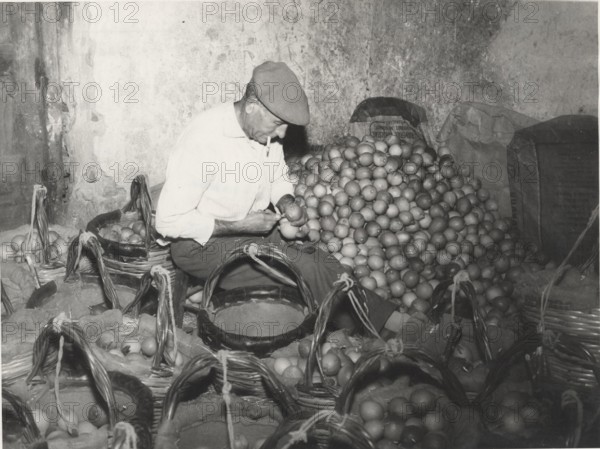 Lemon warehouse in Acireale, Sicily.