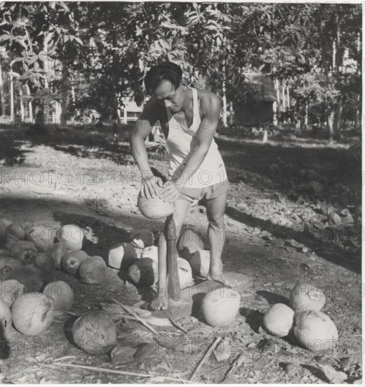 Palms'nuts are split and opened by pressing them hard into a piece of metal, with a fairly sharp top