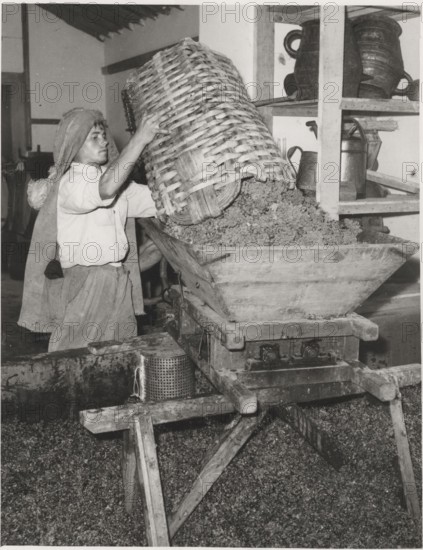 Pressing the grapes in Regua, Portugal
