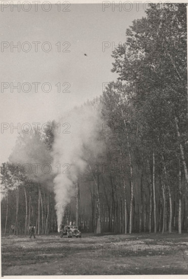 Poplar groves use of pesticides with atomizers