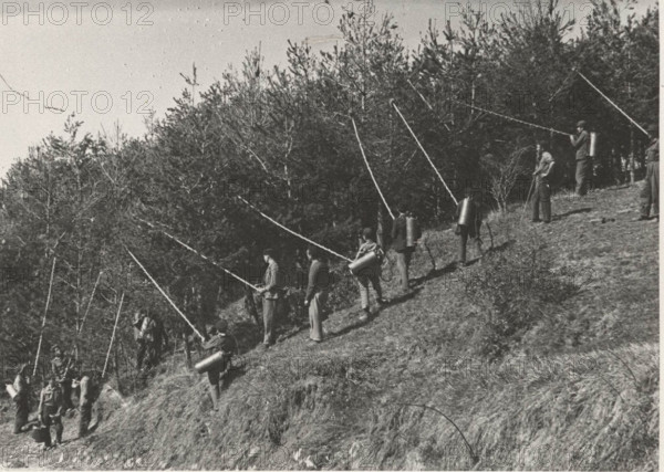 Nests' disinfestation with bug spray