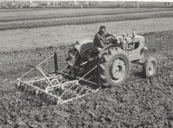 Fiat 25 R Diesel tractor equipped with harrow