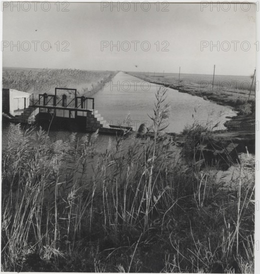 Irrigation canal in Camargue, France