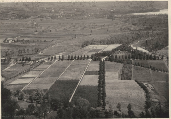 Celarda nursery. Feltre, Italy.