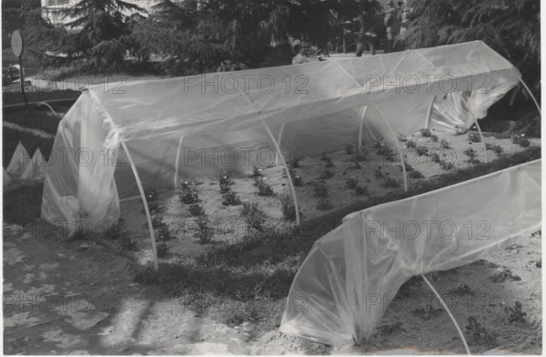 Greenhouse made with plastic materials