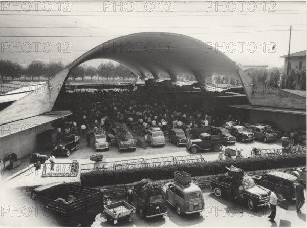 Flower market in Pescia