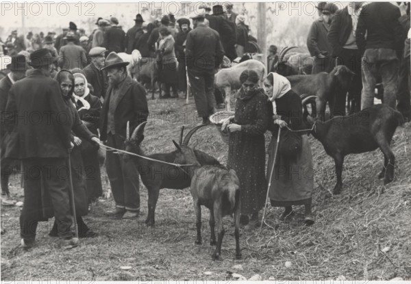 Cattle fair. Pont Saint Martin, Italy