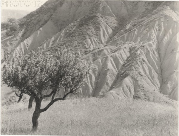Badlands. Rocca Imperiale, Italy,