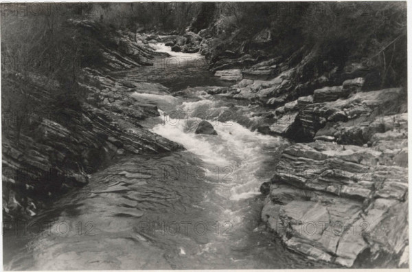 Nummulitic limestones