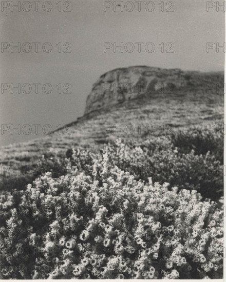 Frost on Monte Nevoso