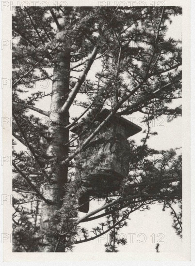 Artificial bird nest