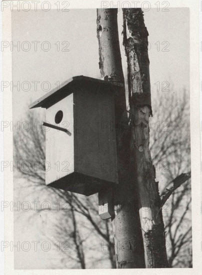 A net box