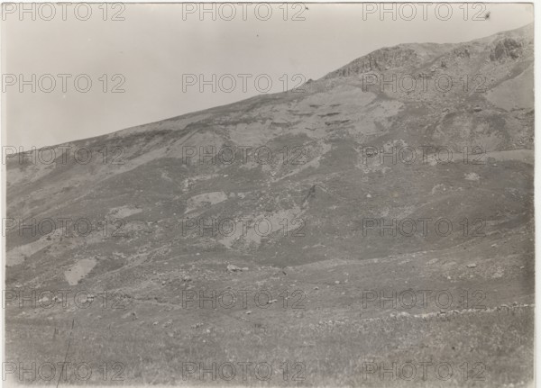 Petralia Sottana, the fields after deforestation works