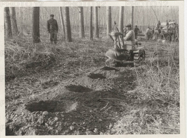 Arboricolture drills digging holes