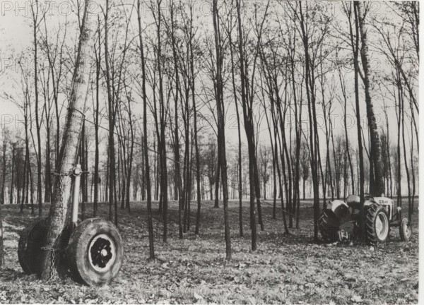 Deforestation with a cradle truck