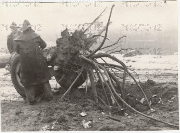 Deforestation with a cradle truck