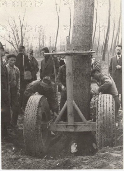 Deforestation with a cradle truck