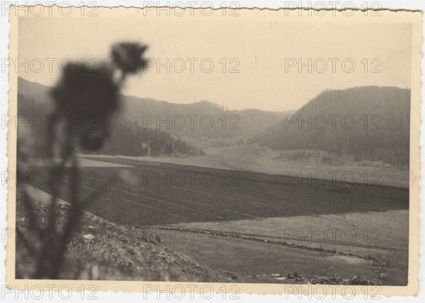 Reclamation land in Cansiglio,Italy.