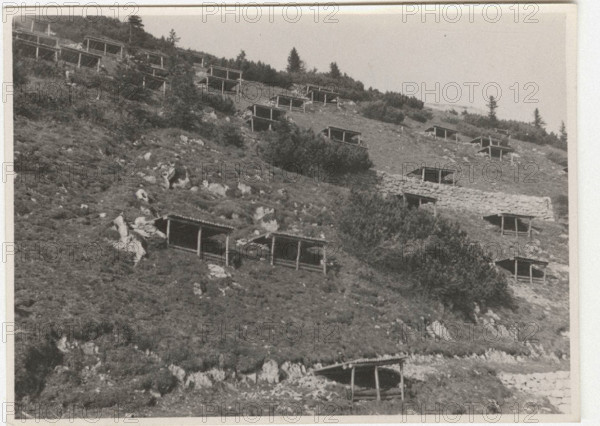 Reforestation works to prevent avalanches