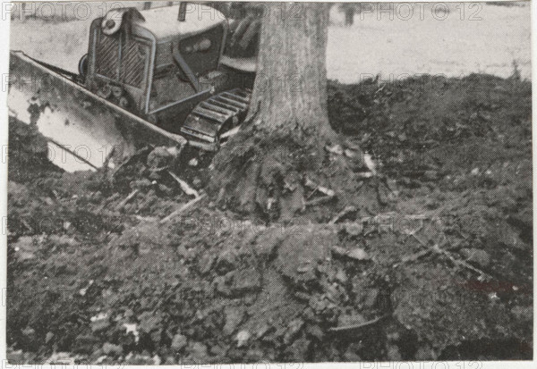 Reforestation works the socalled groana soil in Tradate, Italy