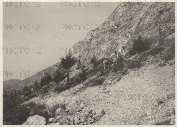 Reforestation works in Bergamo Italy