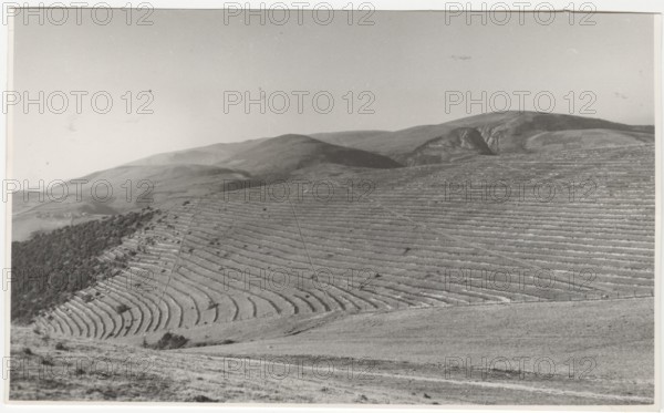 Reforestation works in Foligno, Italy